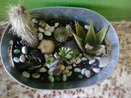 MACETA DE CACTUS EN CHAPA...10 EUROS